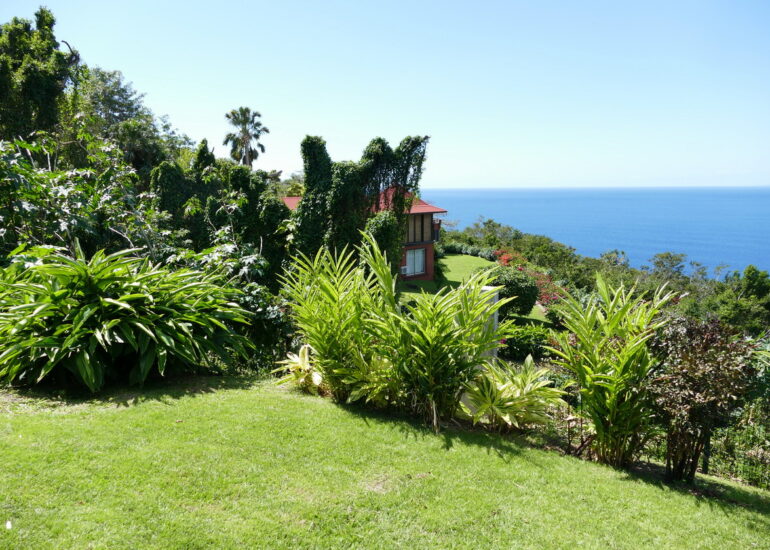 37. La Guadeloupe ; Deshaies, le jardin botanique