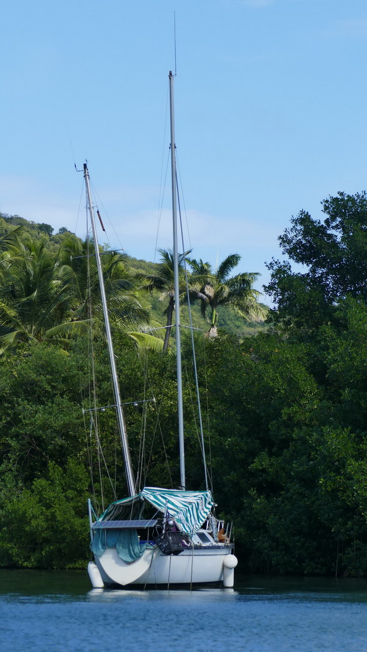 37. La Martinique, le Marin ; une coque est déjà sous l'eau