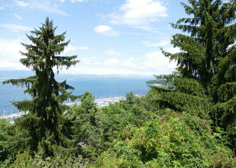 37. Lac Léman - Thonon-les-Bains, le port de plaisance occupe tout l'espace