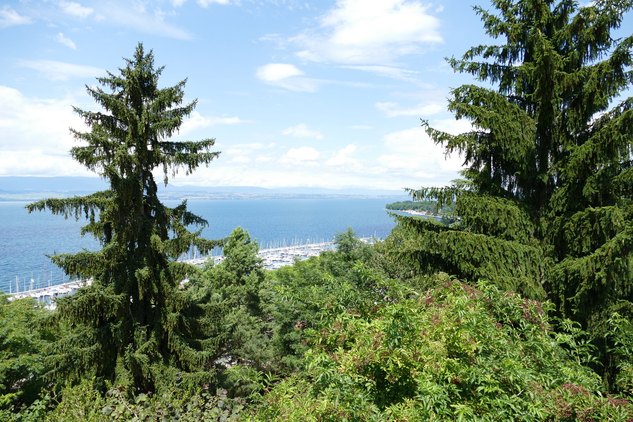 37. Lac Léman - Thonon-les-Bains, le port de plaisance occupe tout l'espace