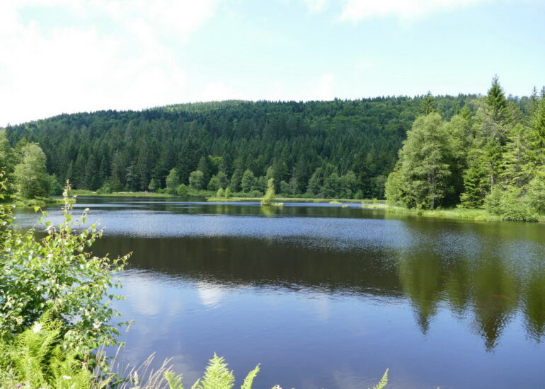 37. Le lac de Lispach