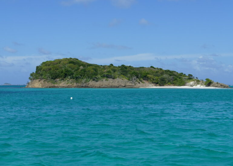 37. Les Tobago cays, l'îlet de Baradal