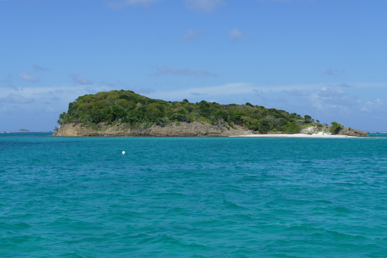 37. Les Tobago cays, l'îlet de Baradal