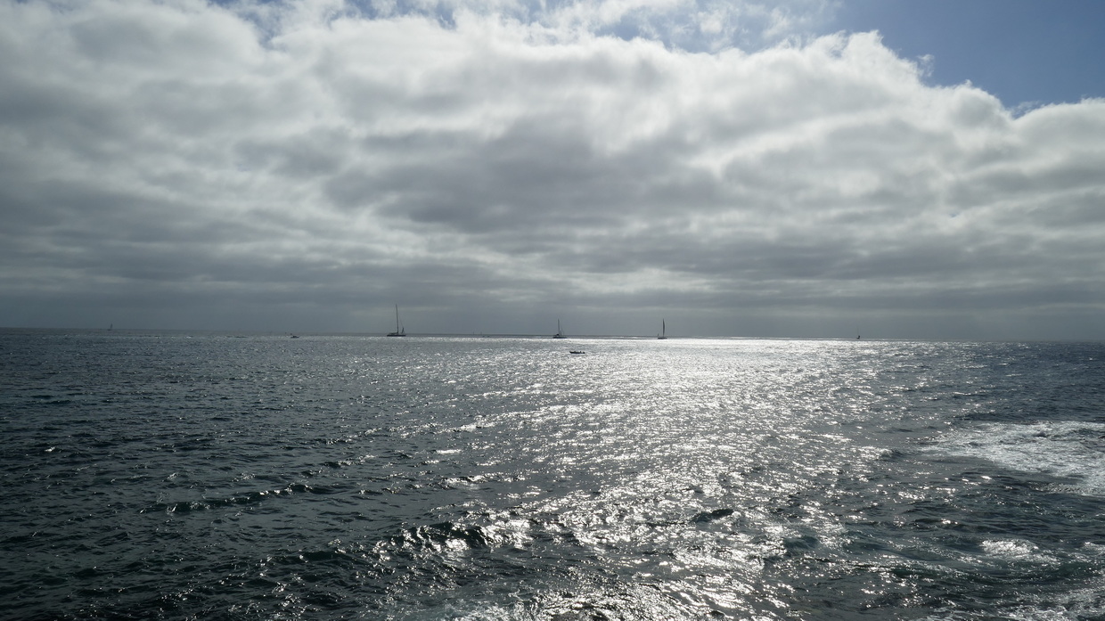 37. RORC Transatlantic Race