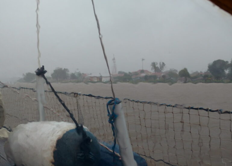 37. Sous la pluie chaude