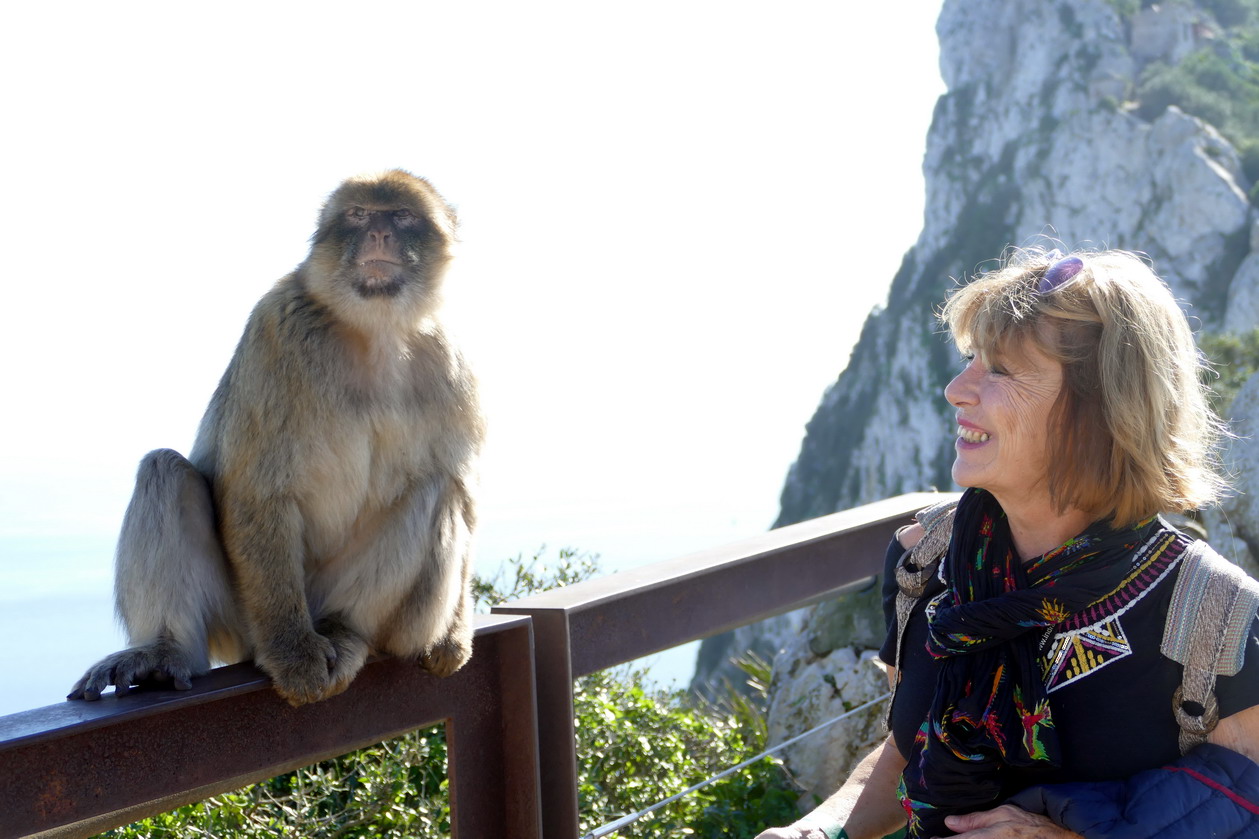 38. Gibraltar, sur le rocher