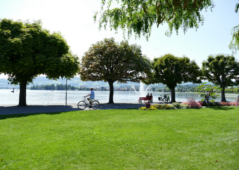 38. Le lac de Constance - rive sud