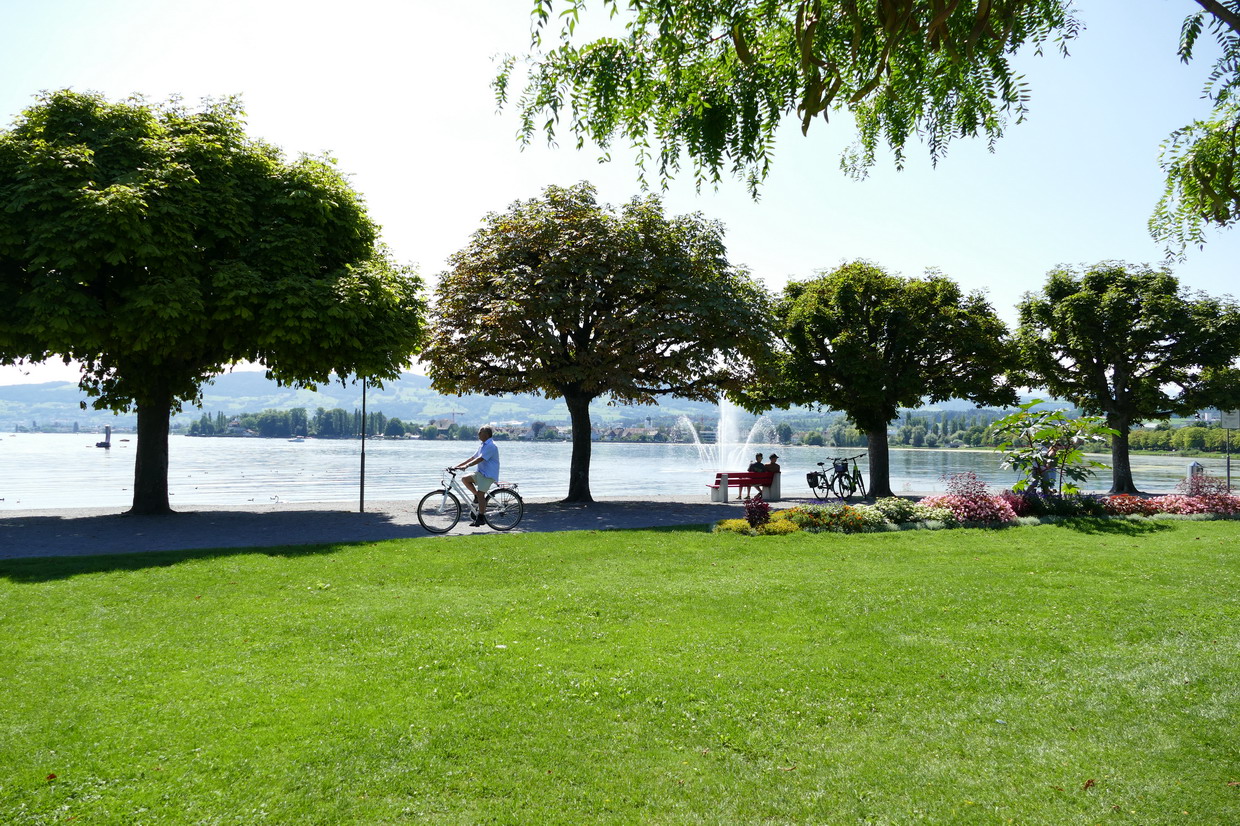 38. Le lac de Constance - rive sud