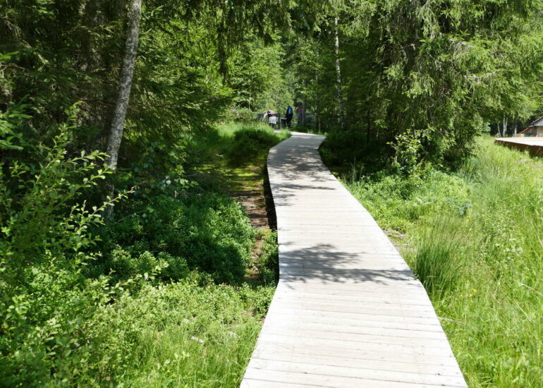 38. Le lac de Lispach