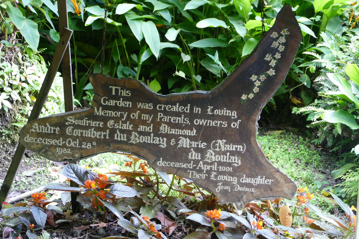 38. Soufriere, le jardin botanique