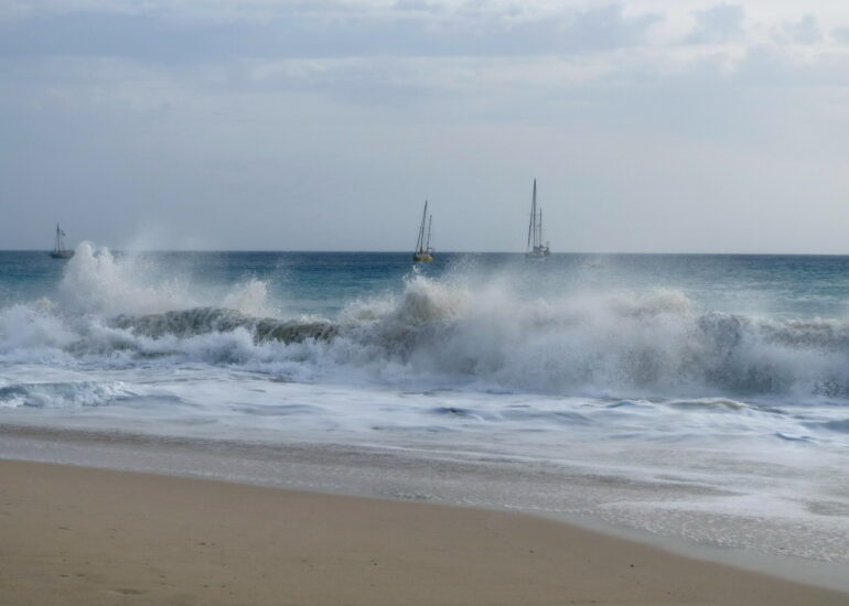 38. Vague