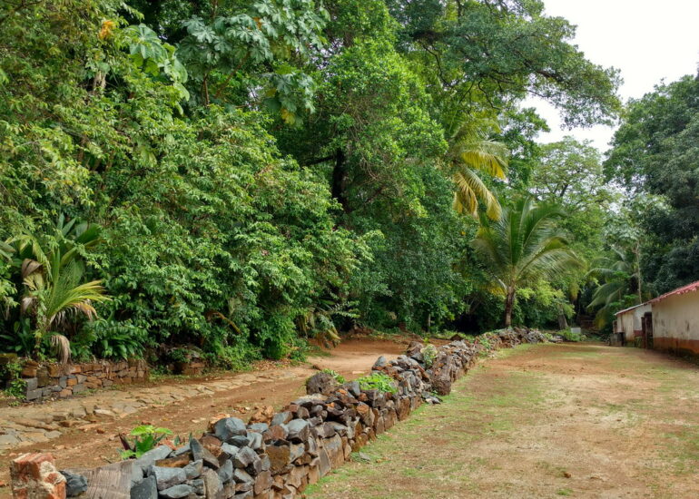 38. Île St Joseph, un sentier de randonnée aménagée par la Légion