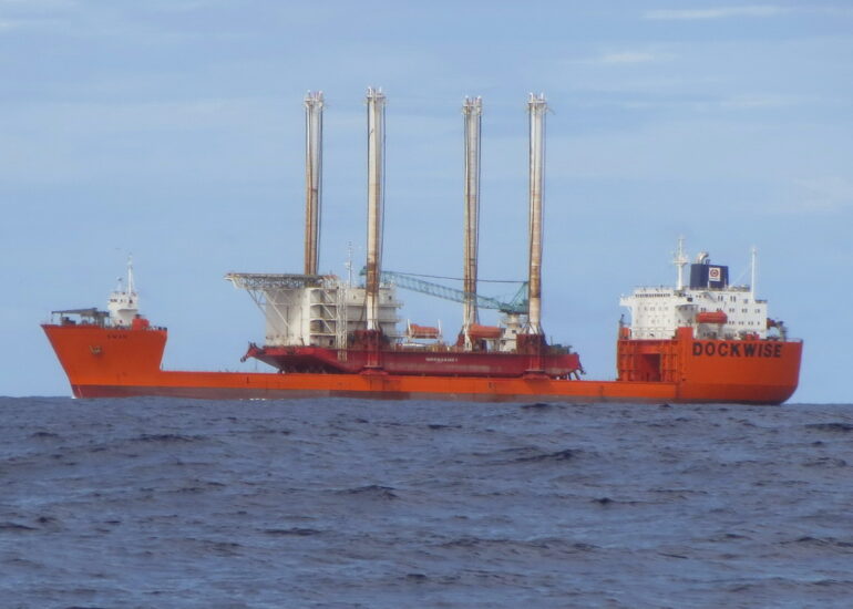 39. Le Swan, un des nombreux cargos rencontrés dans les parages, longueur 181 m, attendu à Chagaramas (Trinidad)