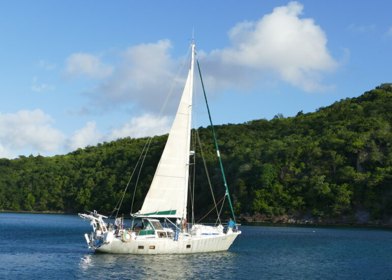 39. Mora-Mora nous quitte pour la Martinique