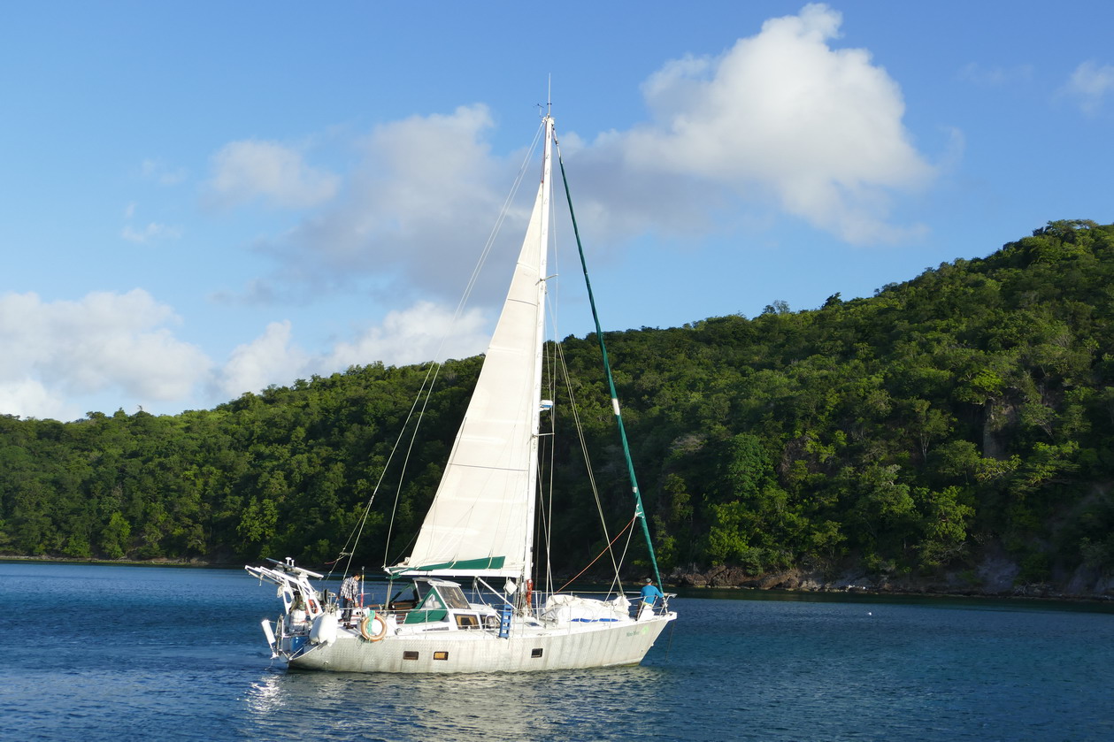 39. Mora-Mora nous quitte pour la Martinique