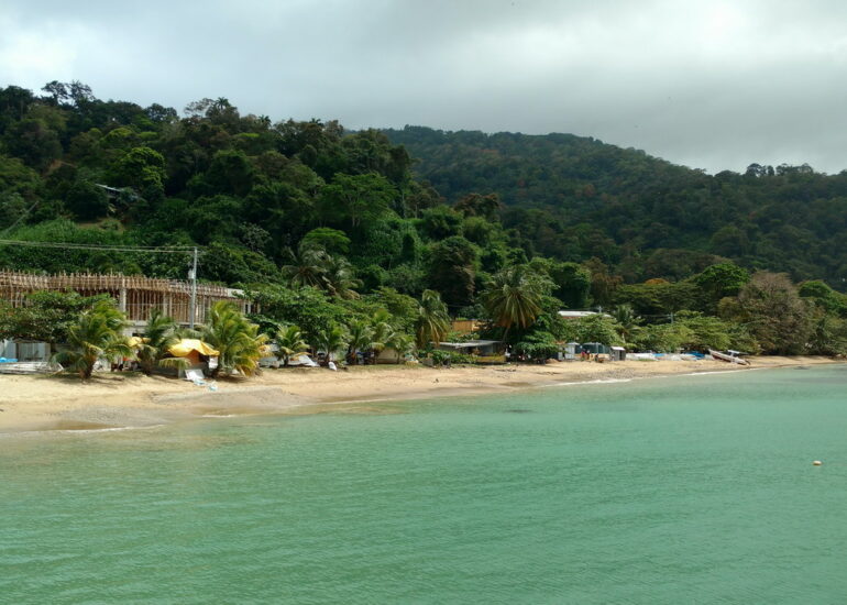39. Pointe NW, Charlotteville