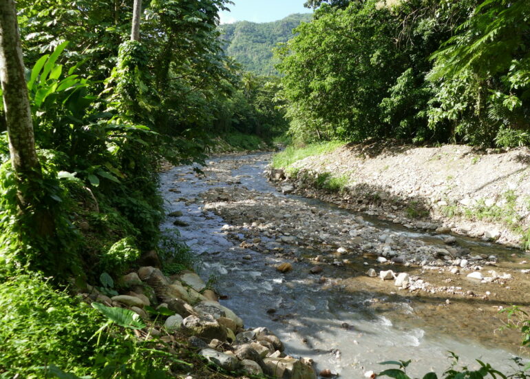 39. Soufriere, le jardin botanique