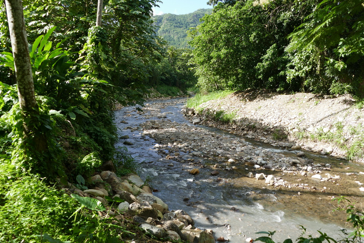 39. Soufriere, le jardin botanique