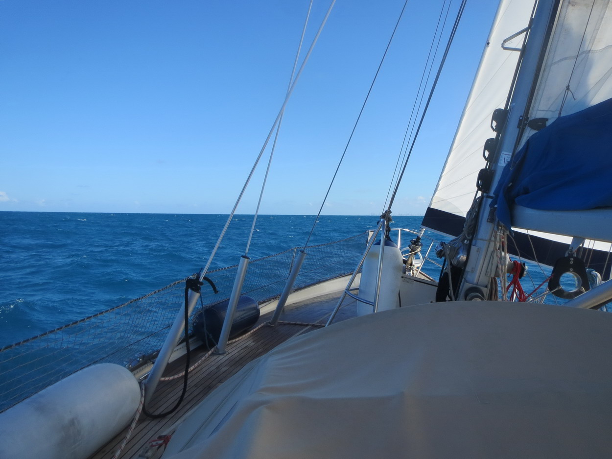 40. Au sud de Noronha l’alizé du SE est bien présent, nous fonçons vers le Brésil