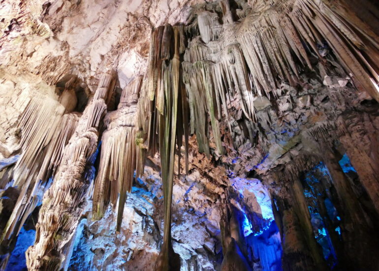 40. Gibraltar, sur le rocher