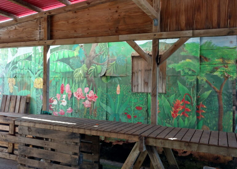 40. La Guadeloupe ; Deshaies, le marché