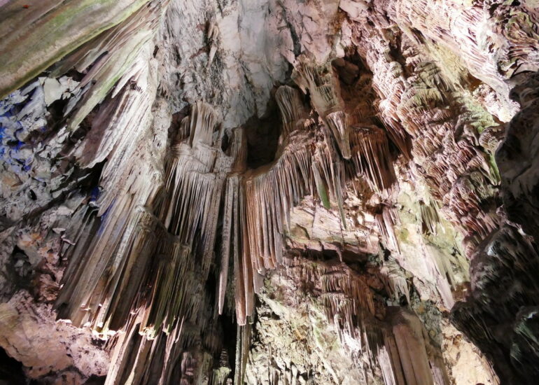 41. Gibraltar, sur le rocher