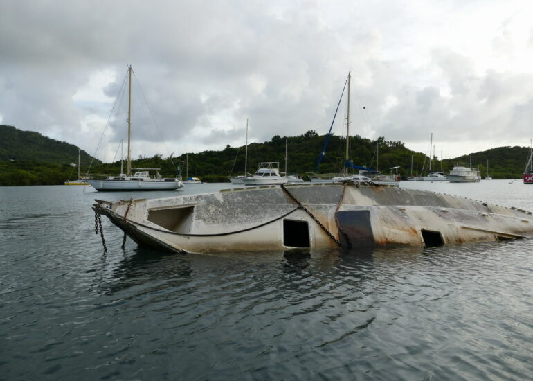 41. La Martinique, le Marin ; entre deux eaux