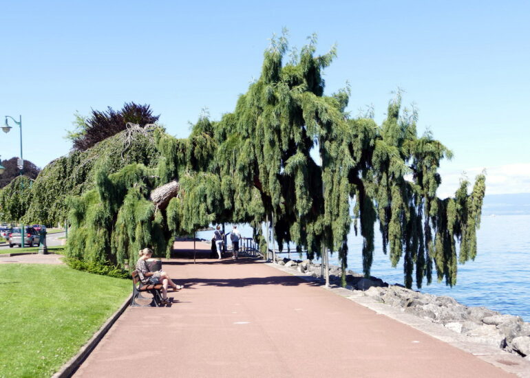 41. Lac Léman - Evian-les-Bains