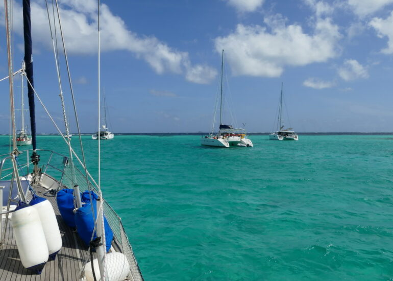 41. Les Tobago cays, un beau vert turquoise