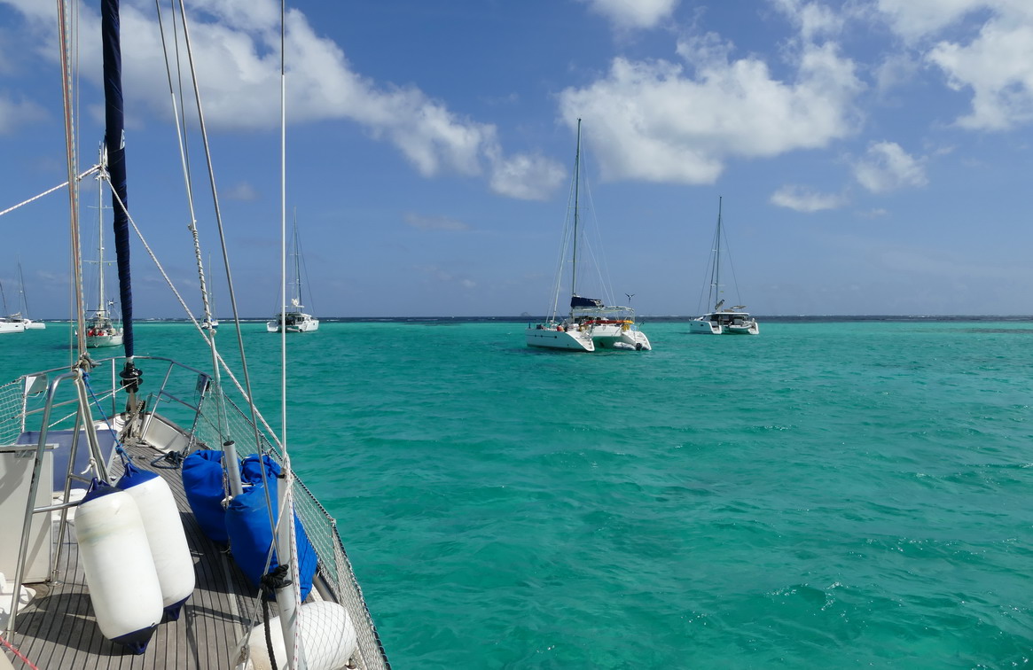 41. Les Tobago cays, un beau vert turquoise