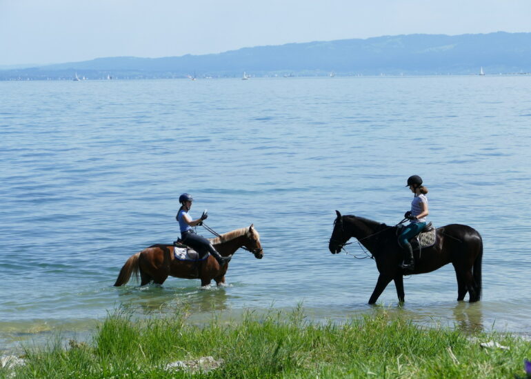 42. Le lac de Constance - rive sud