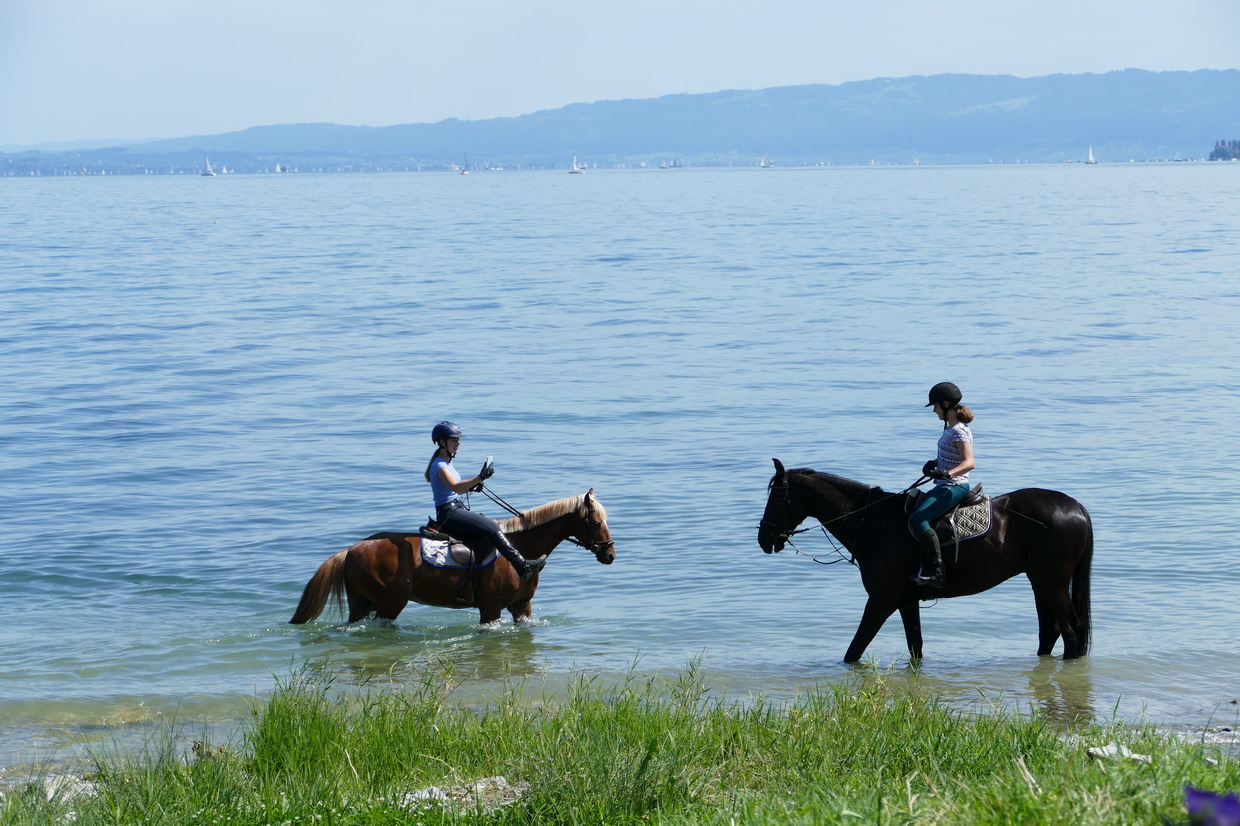 42. Le lac de Constance - rive sud