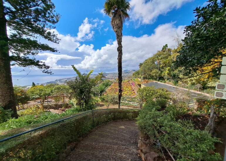 42. Madère, Funchal, le jardin botanique