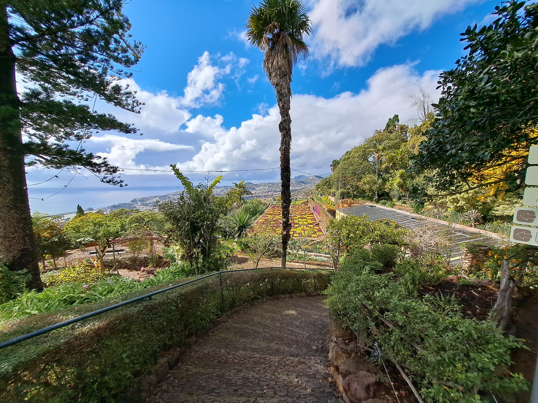 42. Madère, Funchal, le jardin botanique