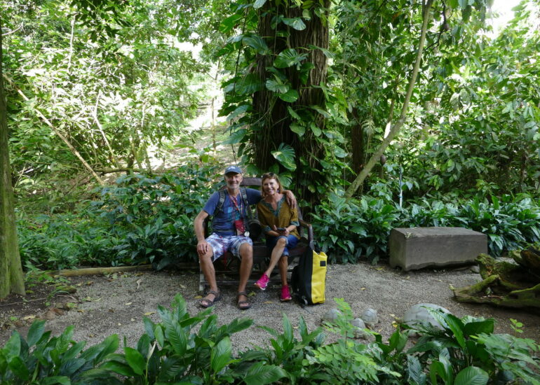 42. Soufriere, le jardin botanique