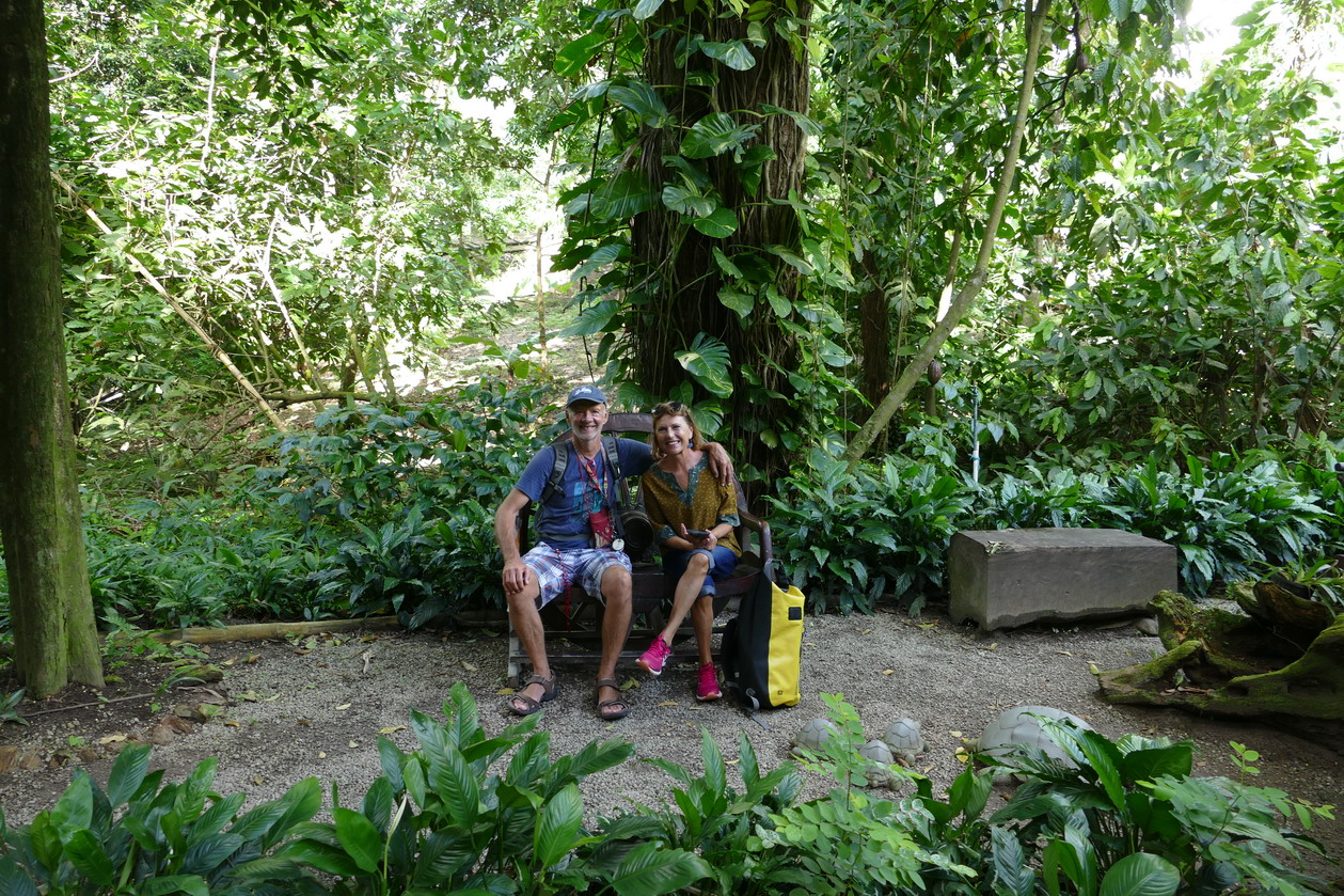 42. Soufriere, le jardin botanique