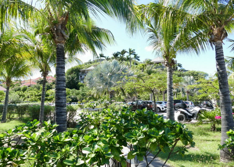 42. St Barth, le port de Gustavia