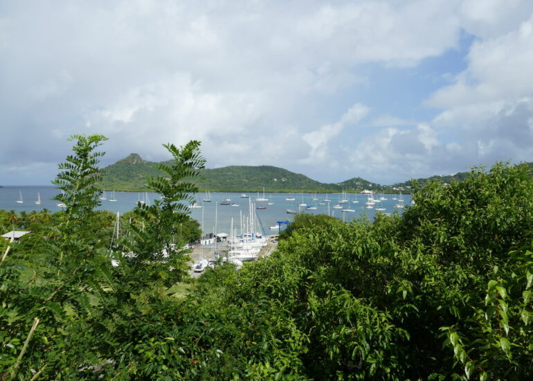 42. Tyrrel bay