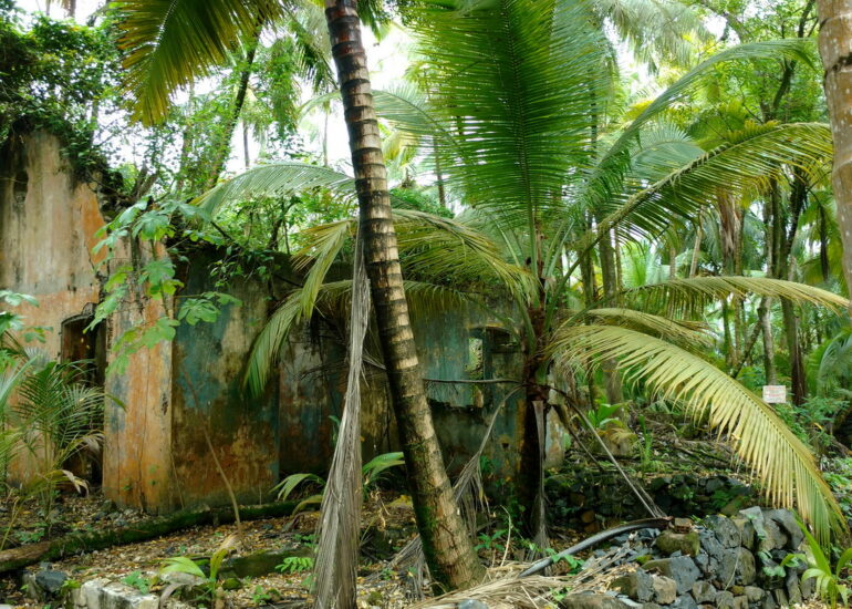 42. Île St Joseph, le pénitencier