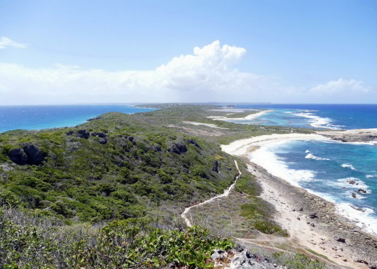 43. Guadeloupe, la Pointe des châteaux