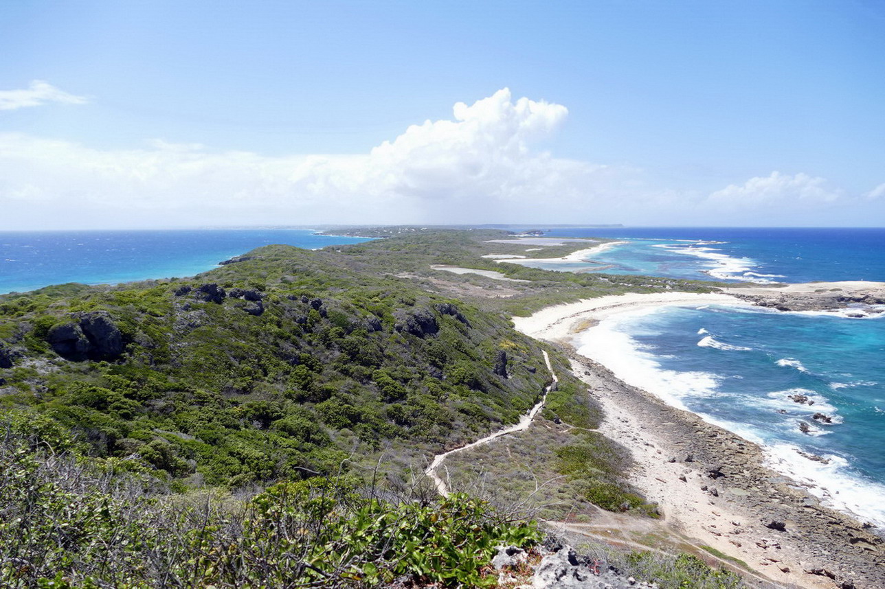 43. Guadeloupe, la Pointe des châteaux