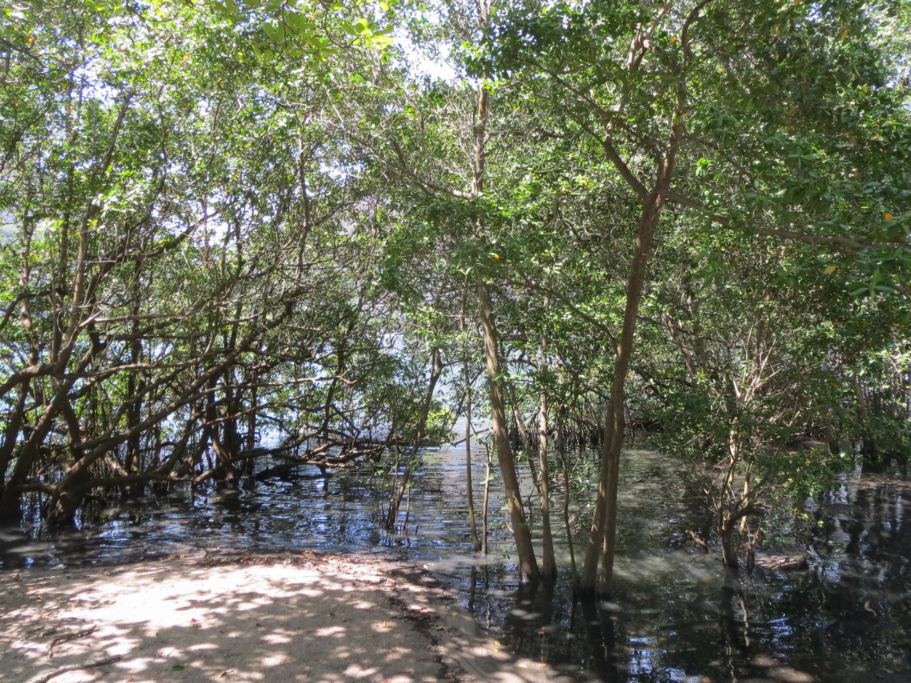 42. Lagoa, le lac intérieur