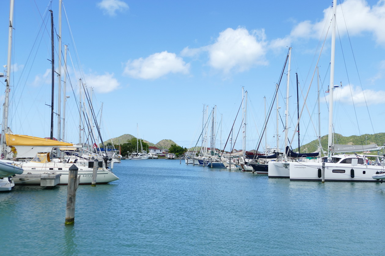 45. Antigua, la marina de Jolly harbour