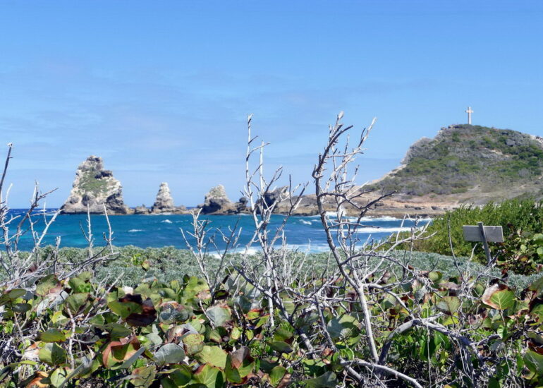 45. Guadeloupe, la Pointe des châteaux