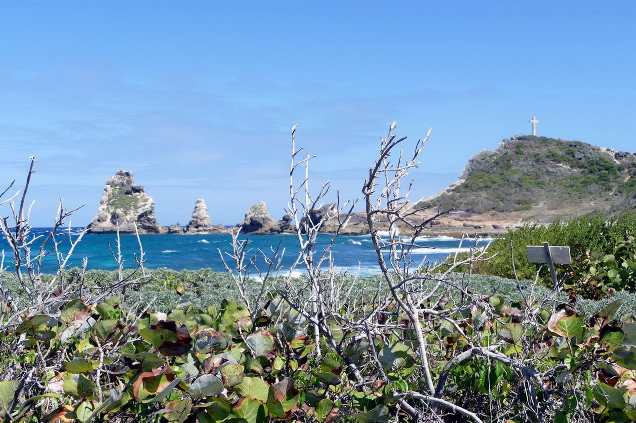 45. Guadeloupe, la Pointe des châteaux