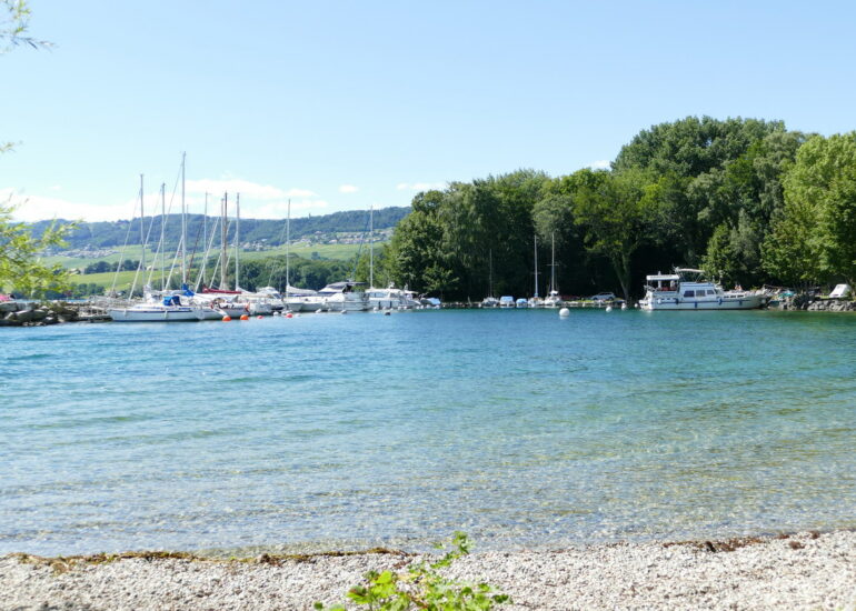 45. Lac Léman - Rolle et le vignoble suisse