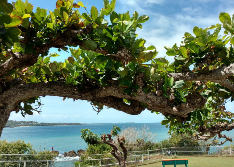 45. Le fort de Plymouth, côte occidentale