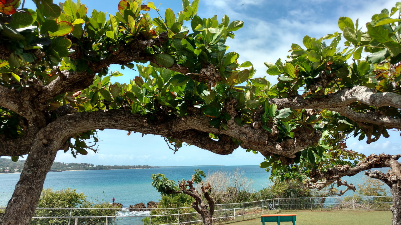 45. Le fort de Plymouth, côte occidentale