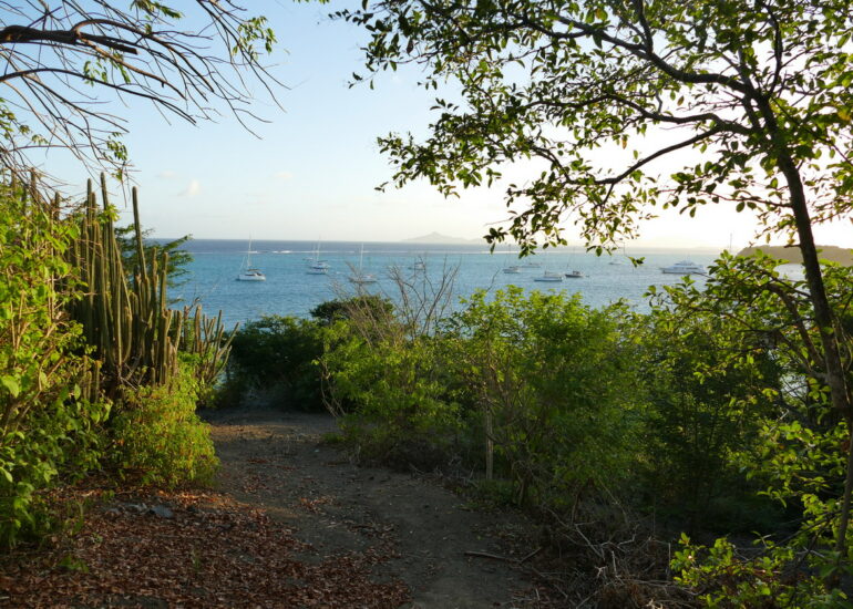 45. Le mouillage des Tobago cays, vu de l'îlet Baradal