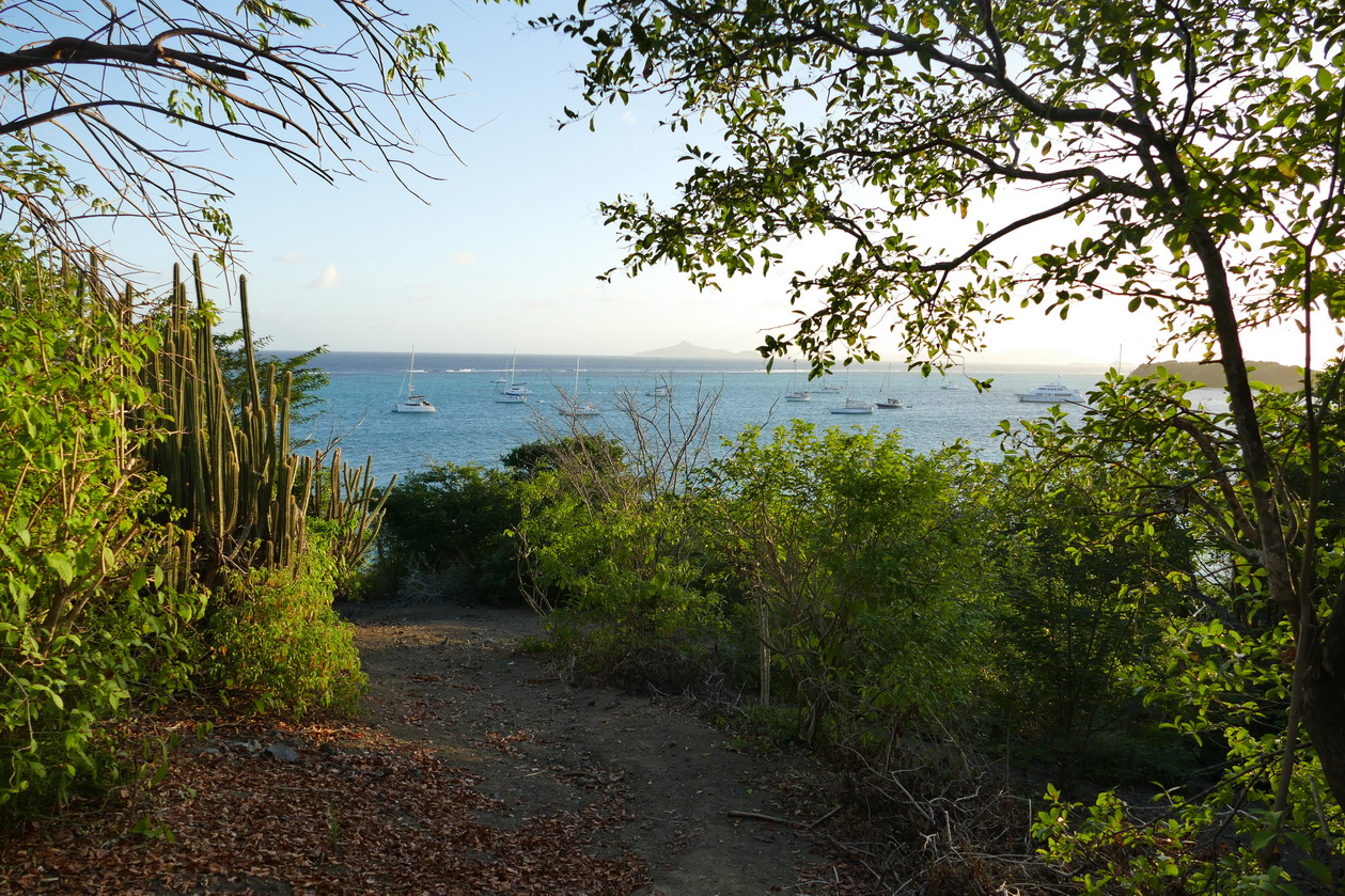 45. Le mouillage des Tobago cays, vu de l'îlet Baradal